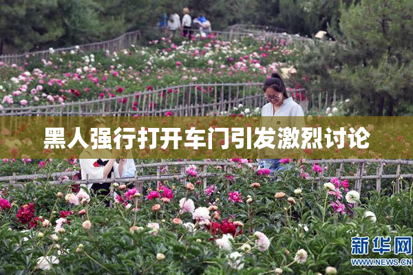 黑人强行打开车门引发激烈讨论