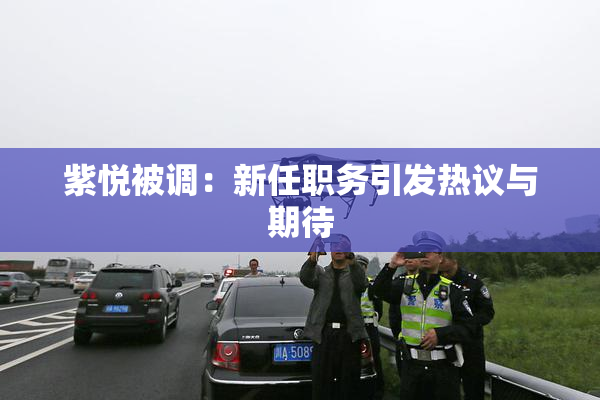 紫悦被调：新任职务引发热议与期待