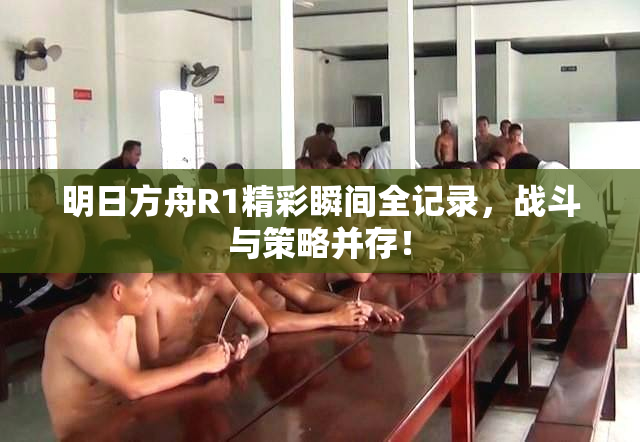 明日方舟R1精彩瞬间全记录，战斗与策略并存！
