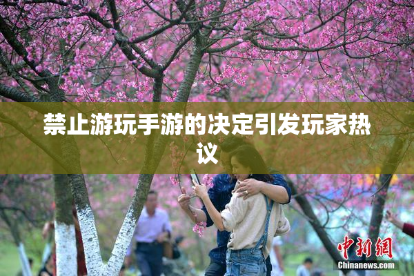 禁止游玩手游的决定引发玩家热议