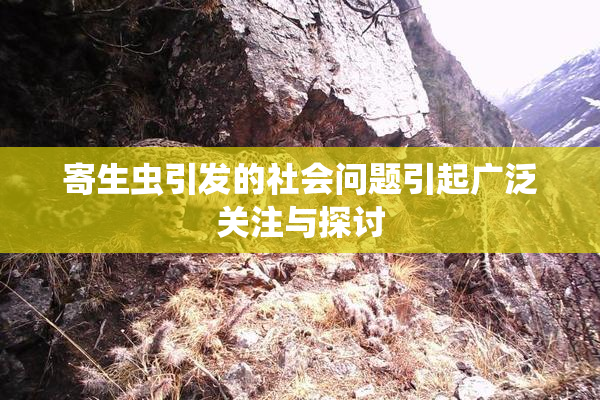 寄生虫引发的社会问题引起广泛关注与探讨