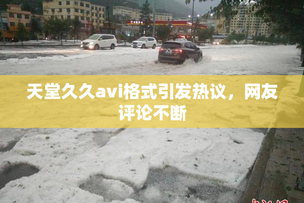 天堂久久avi格式引发热议，网友评论不断