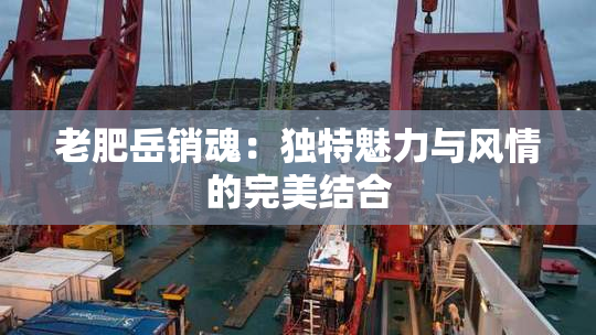 老肥岳销魂：独特魅力与风情的完美结合