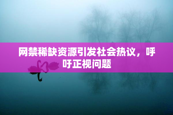网禁稀缺资源引发社会热议，呼吁正视问题