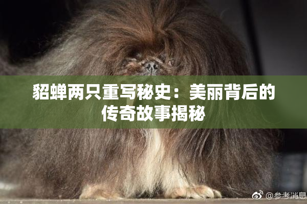 貂蝉两只重写秘史：美丽背后的传奇故事揭秘