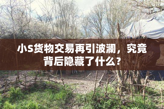 小S货物交易再引波澜，究竟背后隐藏了什么？