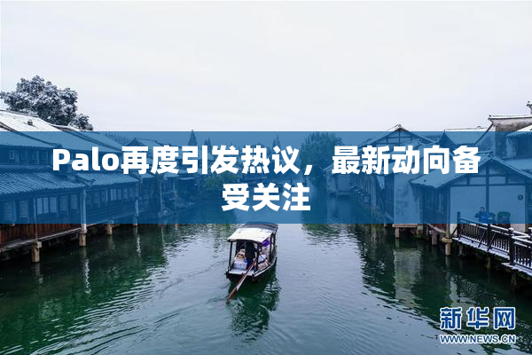 Palo再度引发热议，最新动向备受关注