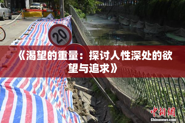 《渴望的重量：探讨人性深处的欲望与追求》