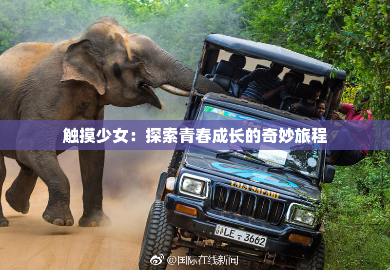 触摸少女：探索青春成长的奇妙旅程