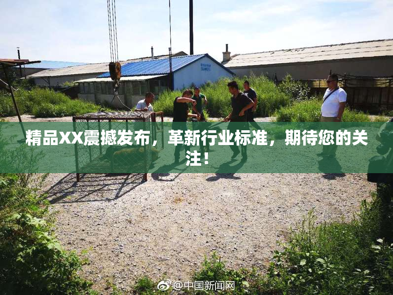精品XX震撼发布，革新行业标准，期待您的关注！