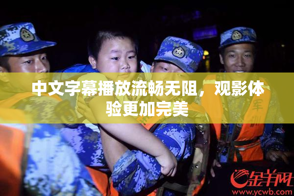 中文字幕播放流畅无阻，观影体验更加完美