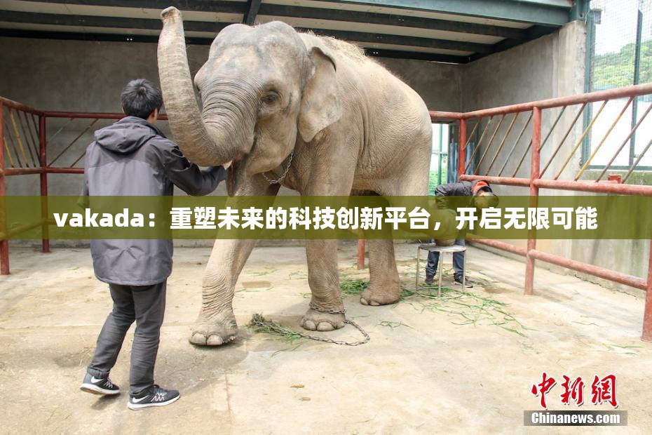vakada：重塑未来的科技创新平台，开启无限可能
