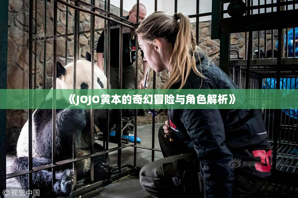 《JOJO黄本的奇幻冒险与角色解析》