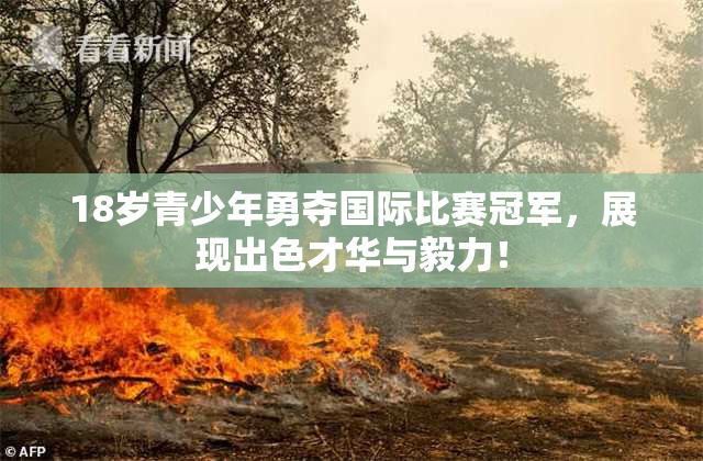 18岁青少年勇夺国际比赛冠军，展现出色才华与毅力！