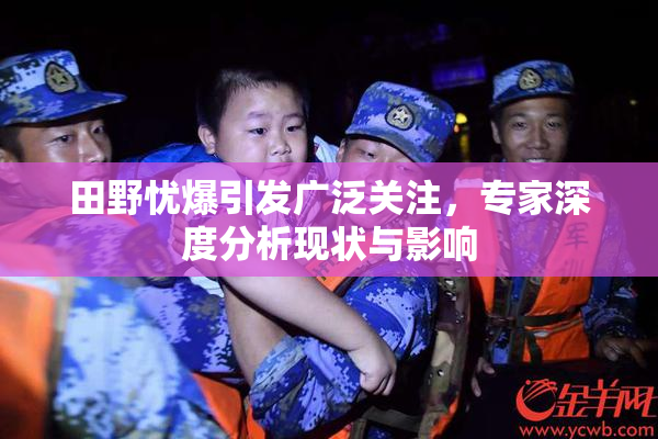 田野忧爆引发广泛关注，专家深度分析现状与影响