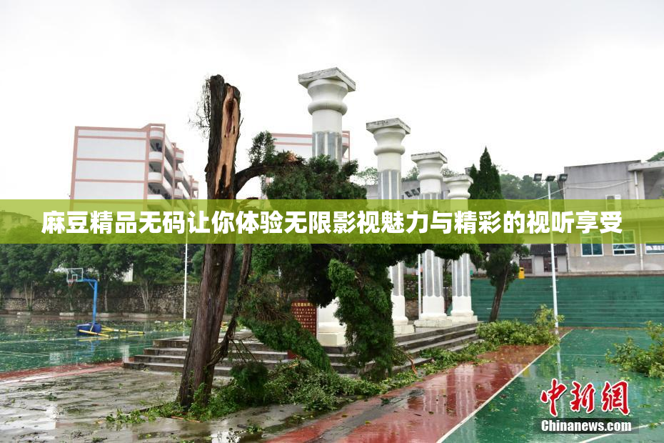 麻豆精品无码让你体验无限影视魅力与精彩的视听享受