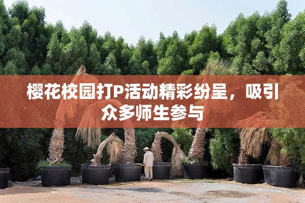 樱花校园打P活动精彩纷呈，吸引众多师生参与