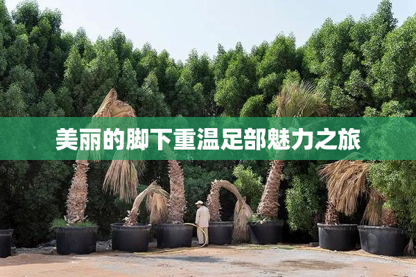 美丽的脚下重温足部魅力之旅