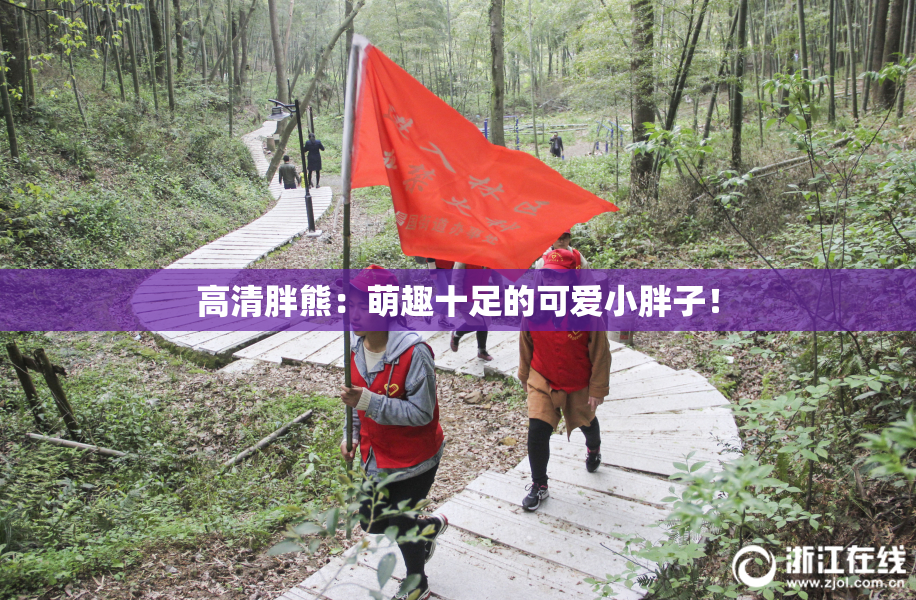 高清胖熊：萌趣十足的可爱小胖子！