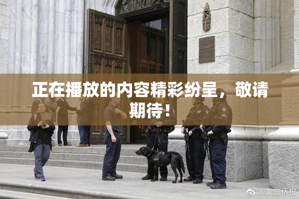 正在播放的内容精彩纷呈，敬请期待！