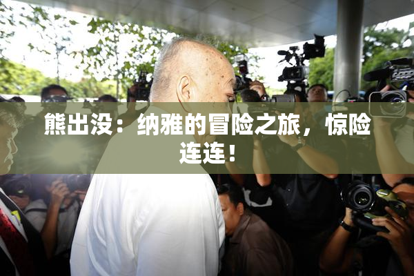 熊出没：纳雅的冒险之旅，惊险连连！