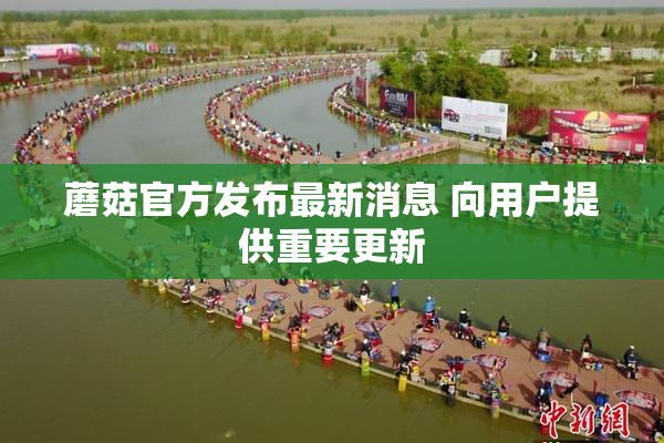 蘑菇官方发布最新消息 向用户提供重要更新