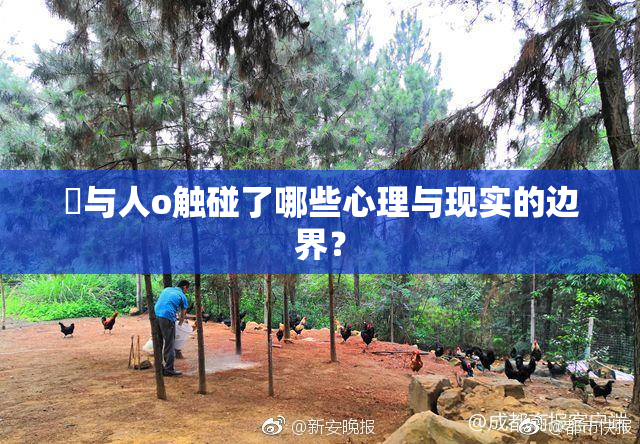 嘼与人o触碰了哪些心理与现实的边界？