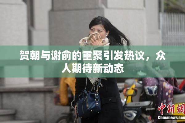 贺朝与谢俞的重聚引发热议，众人期待新动态