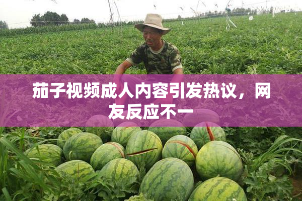 茄子视频成人内容引发热议，网友反应不一