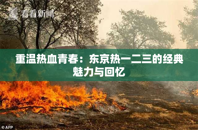 重温热血青春：东京热一二三的经典魅力与回忆