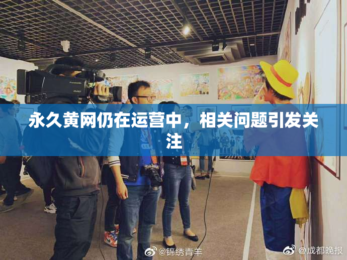 永久黄网仍在运营中，相关问题引发关注