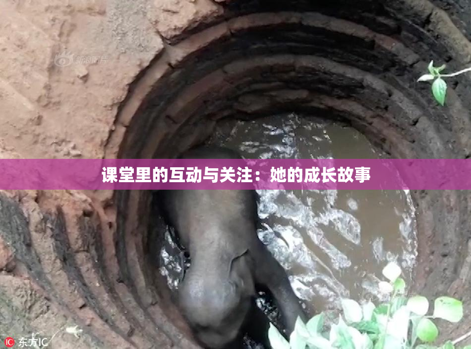 课堂里的互动与关注：她的成长故事
