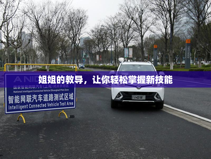 姐姐的教导，让你轻松掌握新技能