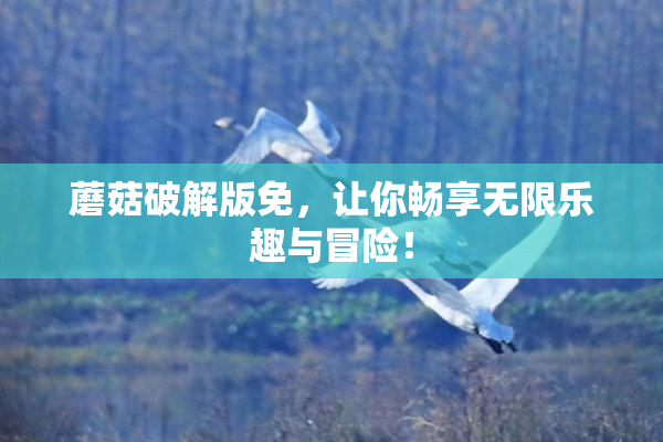 蘑菇破解版免，让你畅享无限乐趣与冒险！