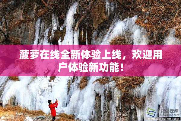 菠萝在线全新体验上线，欢迎用户体验新功能！