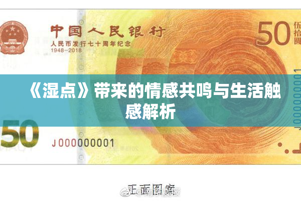 《湿点》带来的情感共鸣与生活触感解析