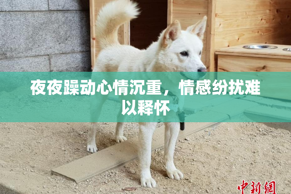 夜夜躁动心情沉重，情感纷扰难以释怀