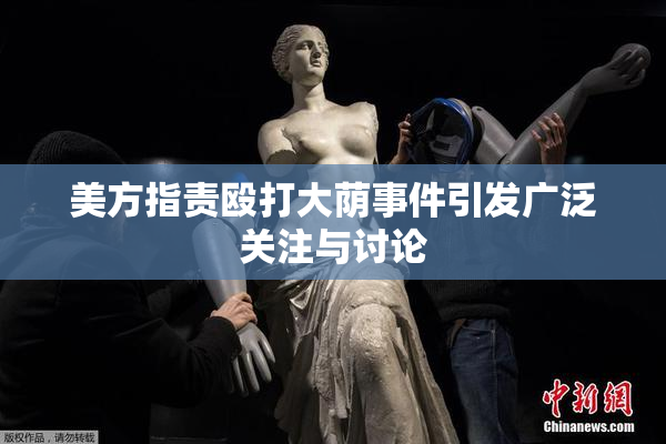 美方指责殴打大荫事件引发广泛关注与讨论