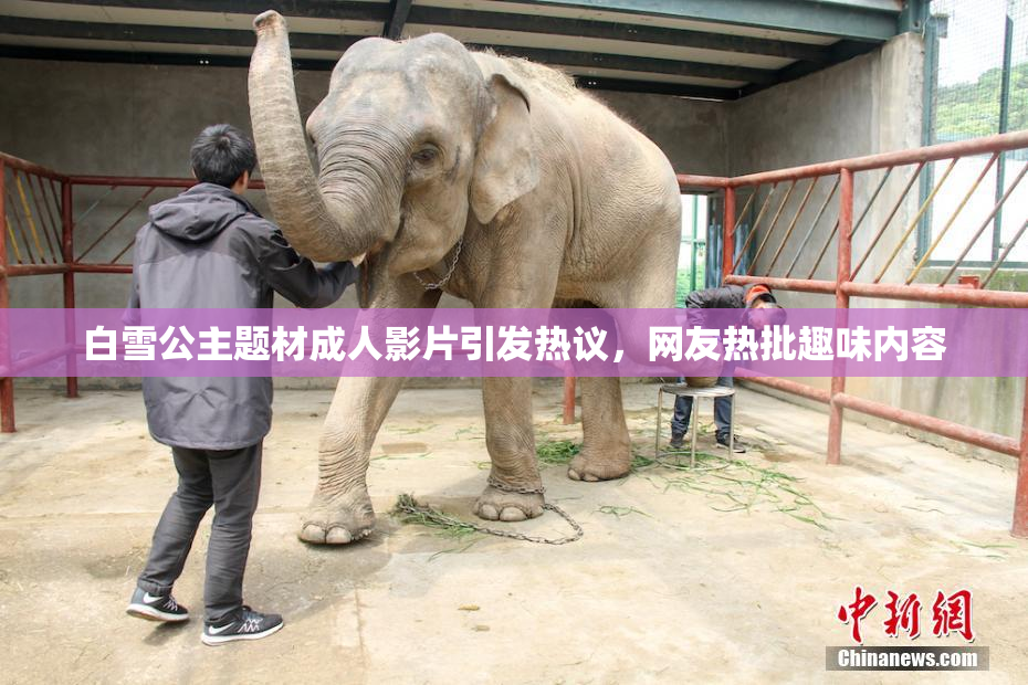 白雪公主题材成人影片引发热议，网友热批趣味内容