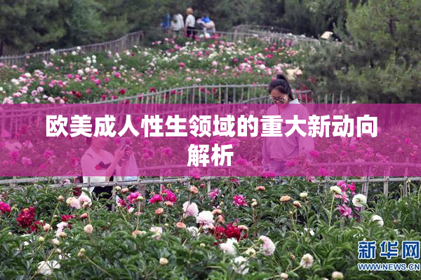 欧美成人性生领域的重大新动向解析