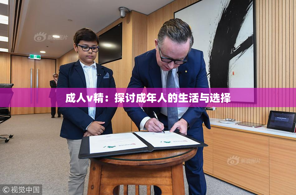 成人v精：探讨成年人的生活与选择