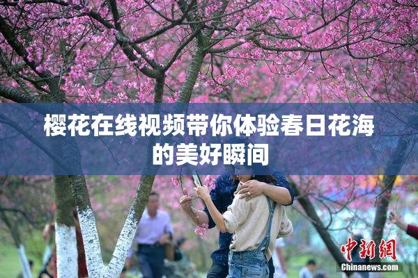 樱花在线视频带你体验春日花海的美好瞬间