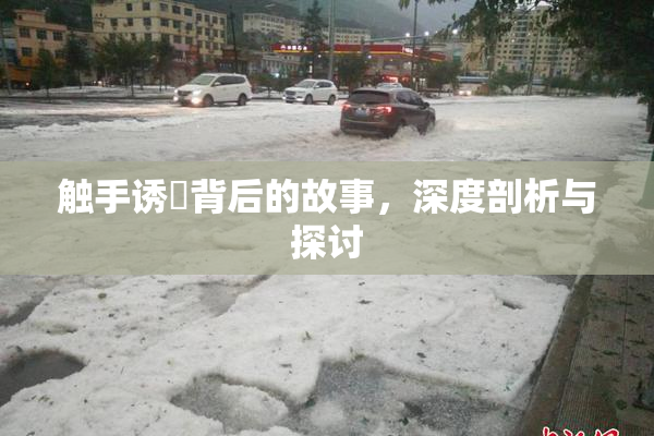 触手诱奷背后的故事，深度剖析与探讨
