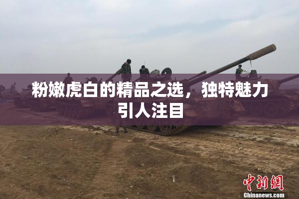 粉嫩虎白的精品之选，独特魅力引人注目