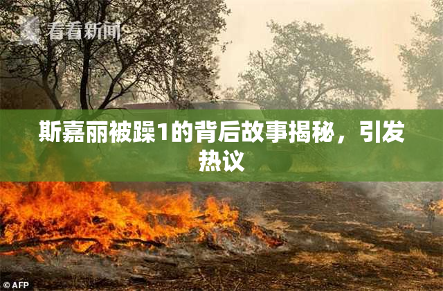 斯嘉丽被躁1的背后故事揭秘，引发热议