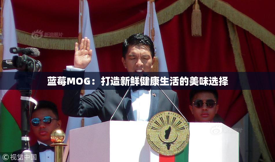 蓝莓MOG：打造新鲜健康生活的美味选择