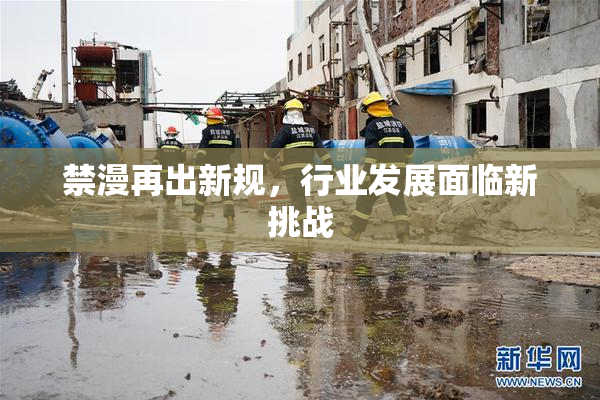 禁漫再出新规，行业发展面临新挑战