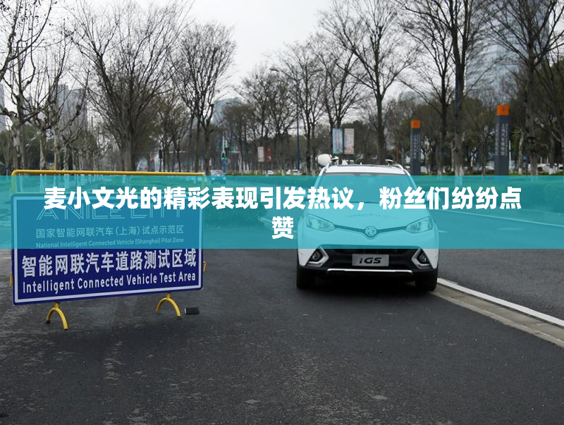 麦小文光的精彩表现引发热议，粉丝们纷纷点赞