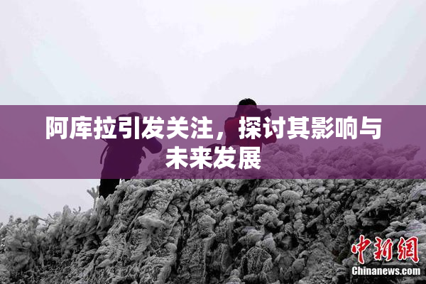 阿库拉引发关注，探讨其影响与未来发展