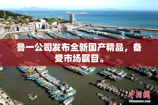 鲁一公司发布全新国产精品，备受市场瞩目。